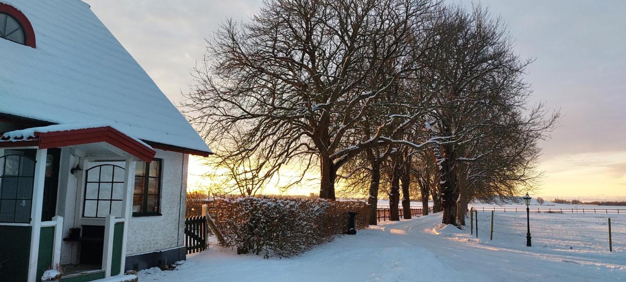 Lantligt Och Lugnt Boende Naera Natur Och Stad Svedala Buitenkant foto