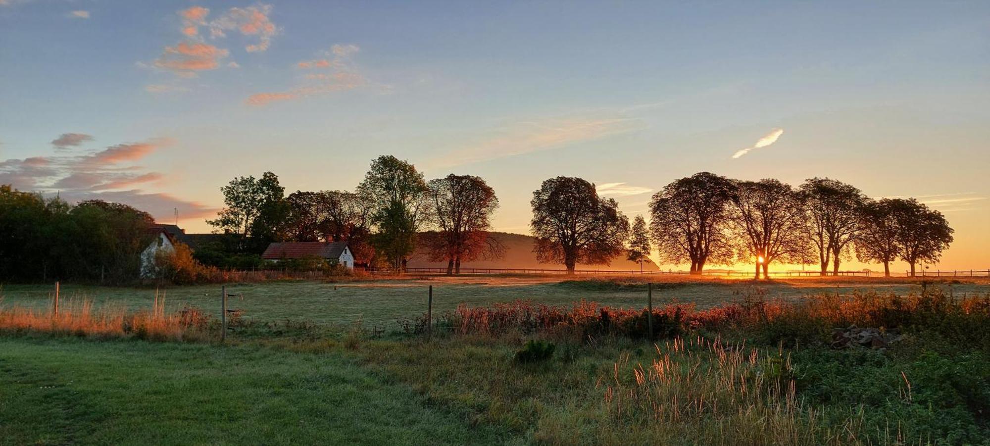 Lantligt Och Lugnt Boende Naera Natur Och Stad Svedala Buitenkant foto