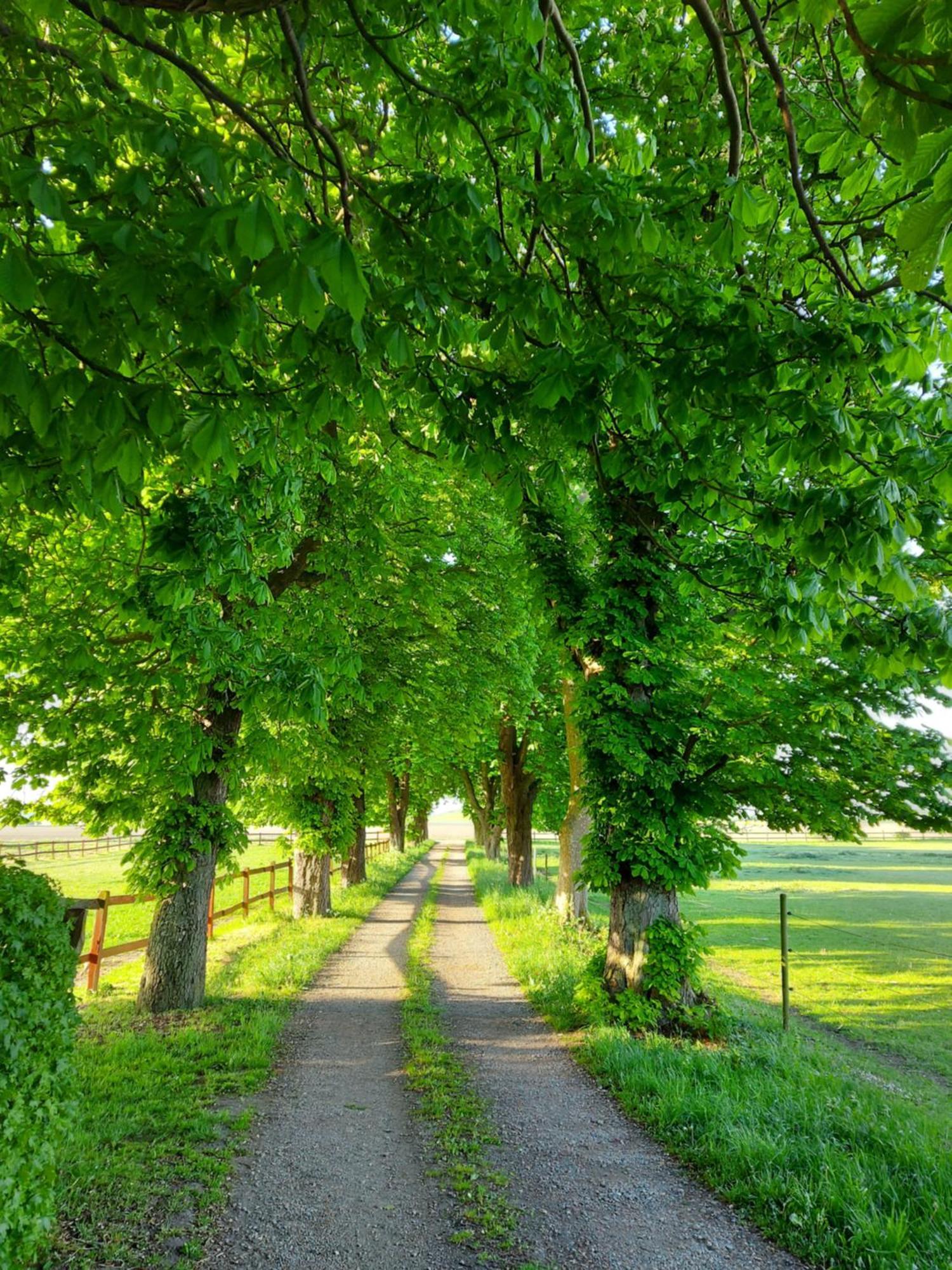 Lantligt Och Lugnt Boende Naera Natur Och Stad Svedala Buitenkant foto