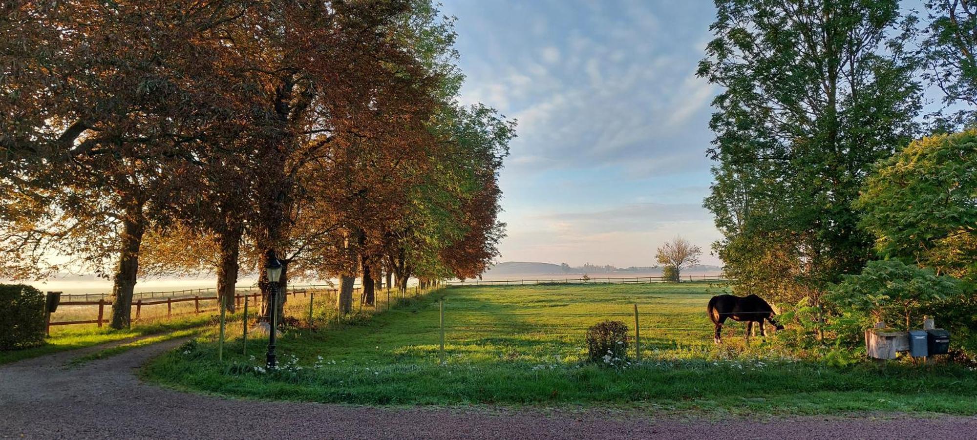 Lantligt Och Lugnt Boende Naera Natur Och Stad Svedala Buitenkant foto