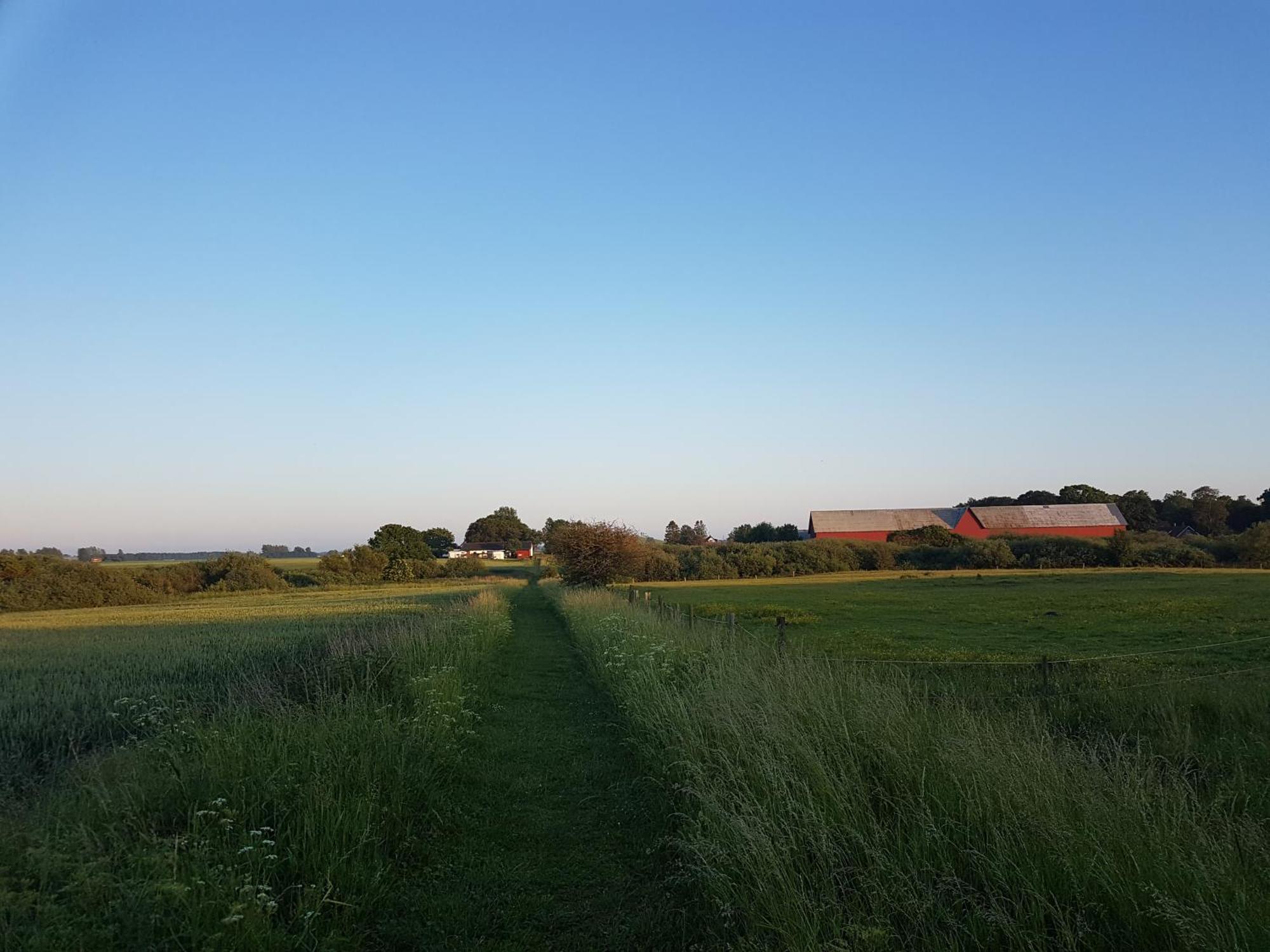 Lantligt Och Lugnt Boende Naera Natur Och Stad Svedala Buitenkant foto