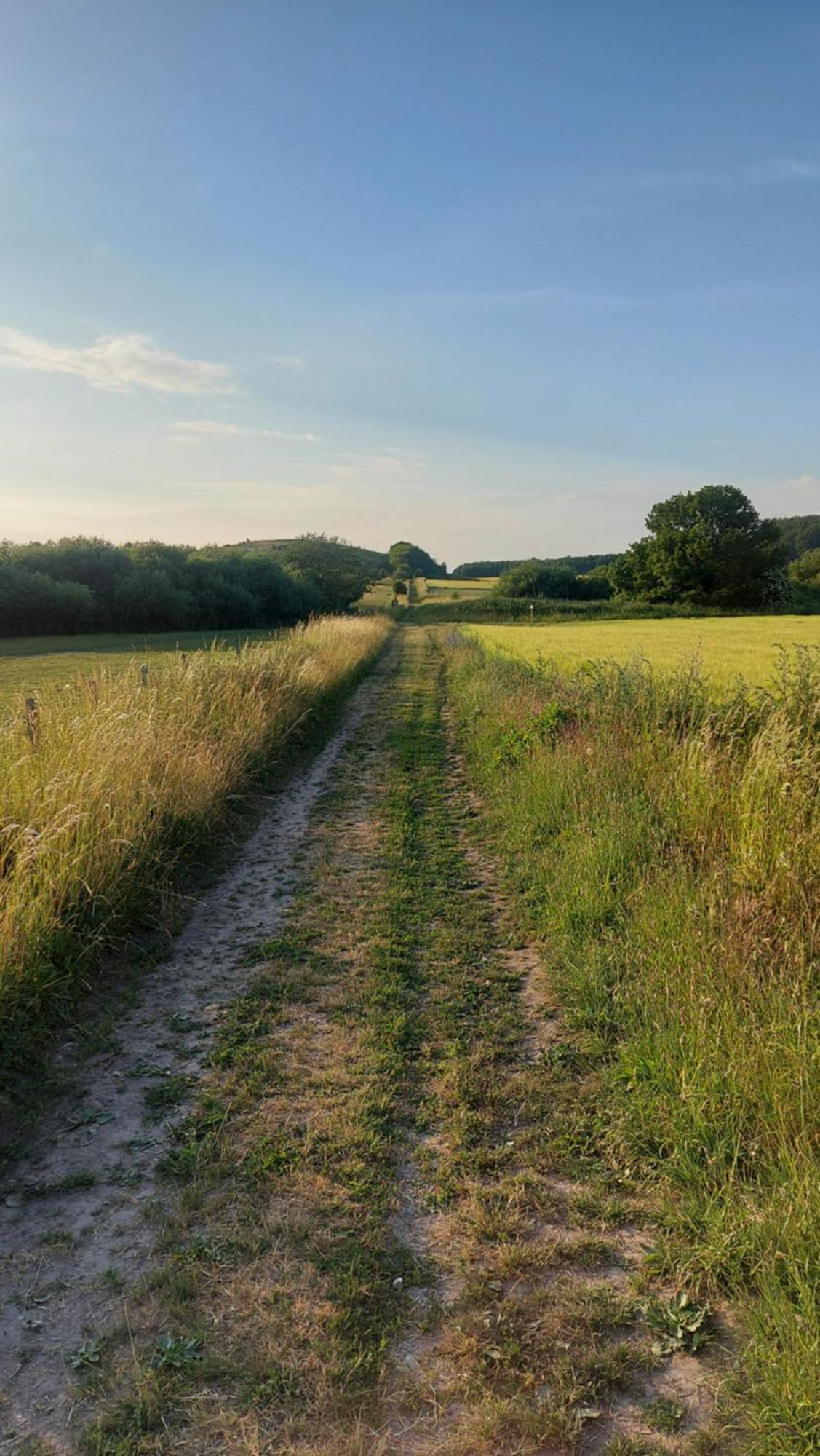 Lantligt Och Lugnt Boende Naera Natur Och Stad Svedala Buitenkant foto