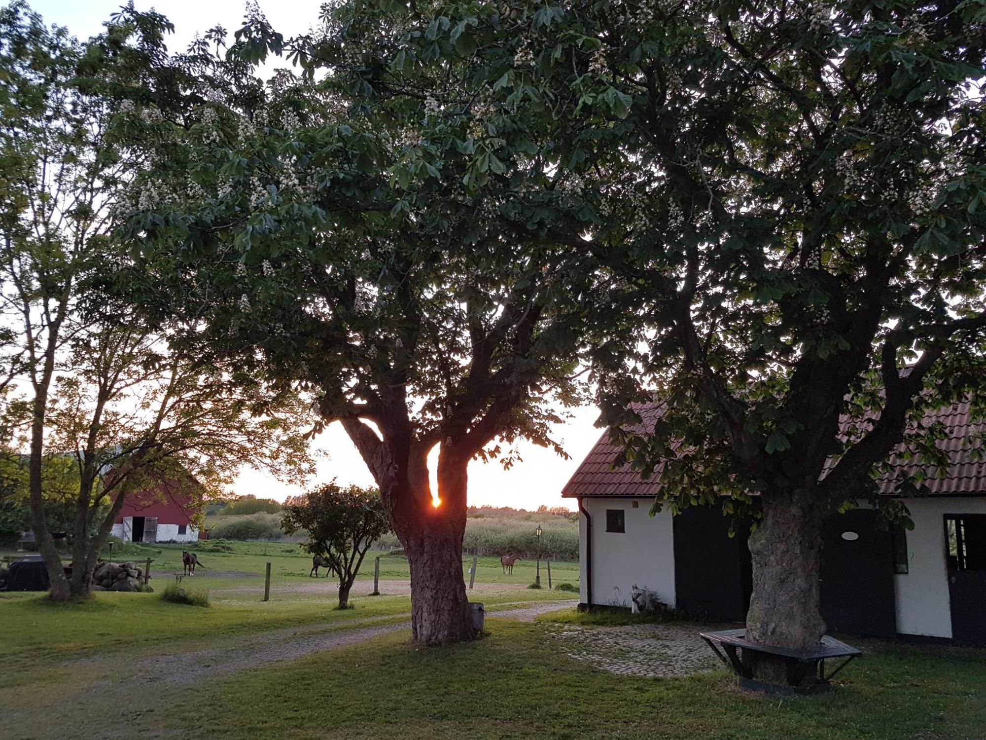 Lantligt Och Lugnt Boende Naera Natur Och Stad Svedala Buitenkant foto