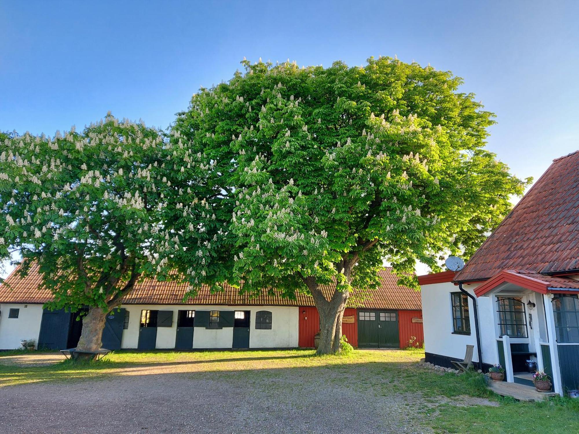 Lantligt Och Lugnt Boende Naera Natur Och Stad Svedala Buitenkant foto