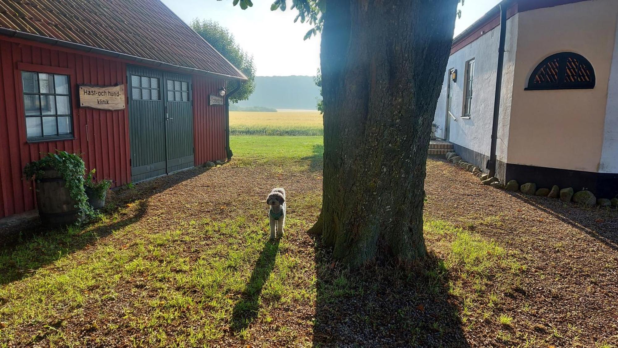 Lantligt Och Lugnt Boende Naera Natur Och Stad Svedala Buitenkant foto
