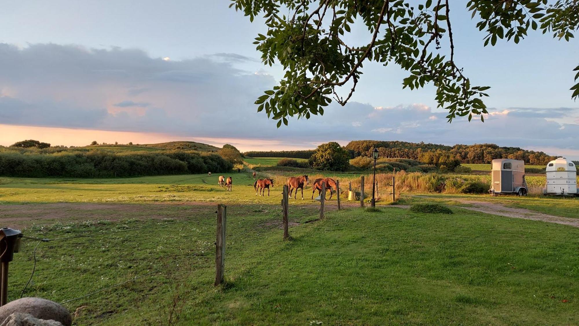 Lantligt Och Lugnt Boende Naera Natur Och Stad Svedala Buitenkant foto