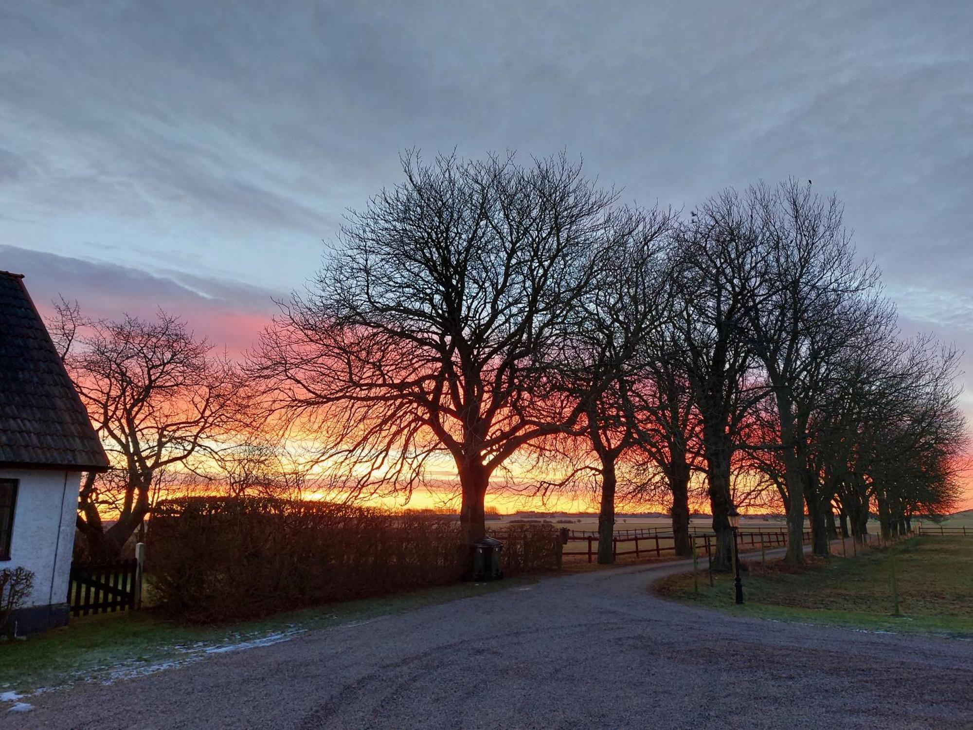 Lantligt Och Lugnt Boende Naera Natur Och Stad Svedala Buitenkant foto